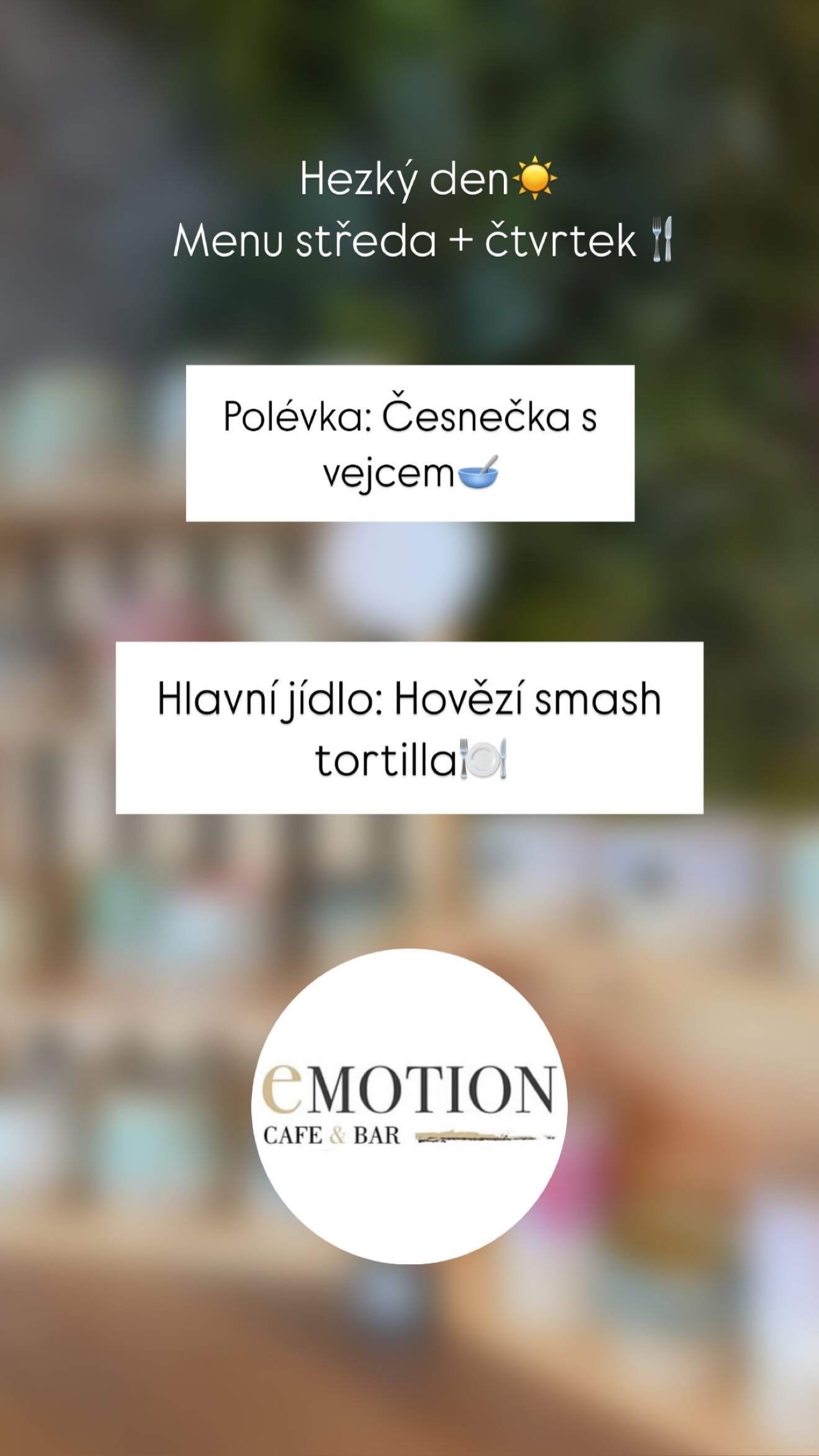 Emotion Fitness Plzeň