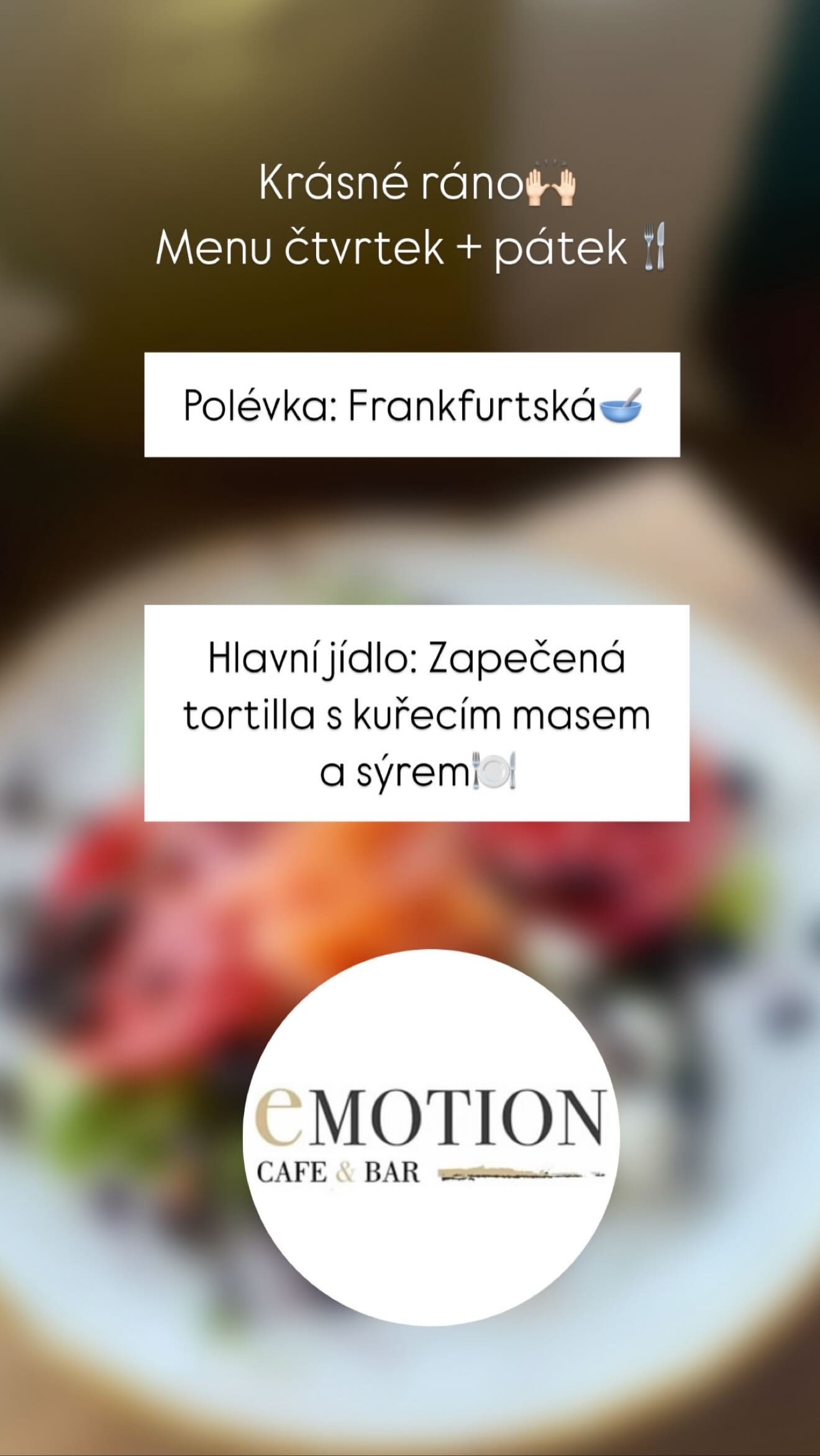 Emotion Fitness Plzeň