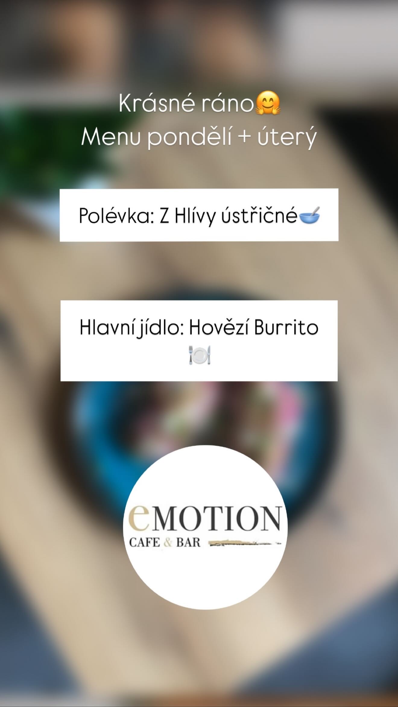Emotion Fitness Plzeň