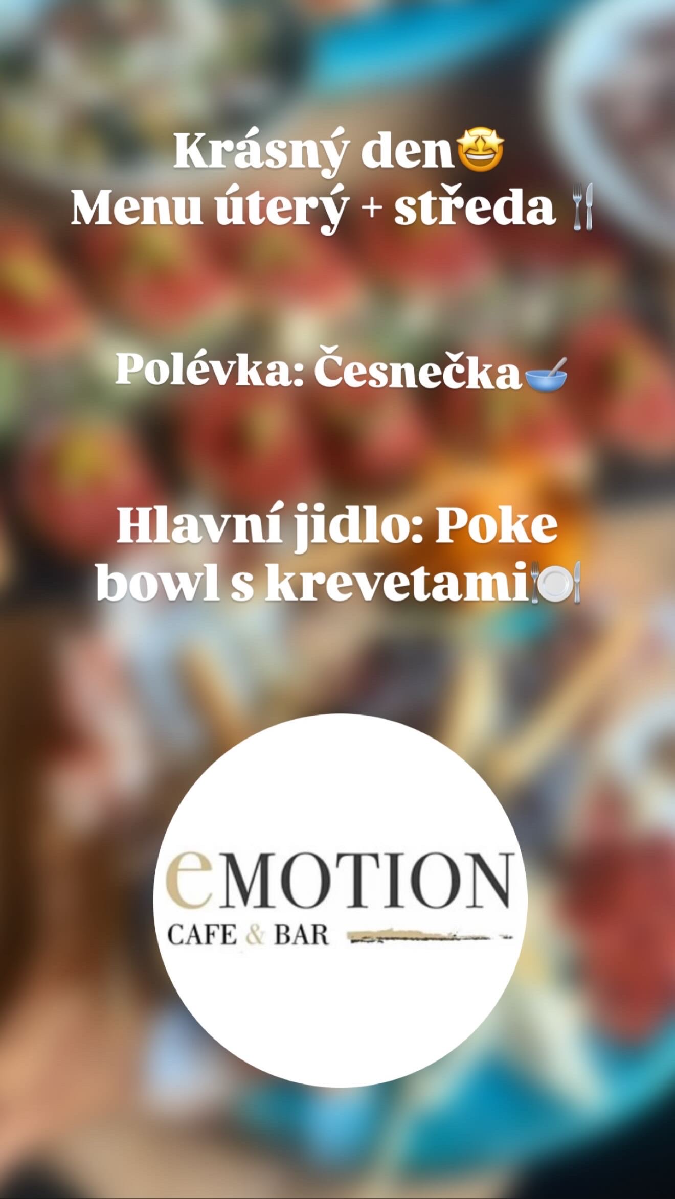 Emotion Fitness Plzeň
