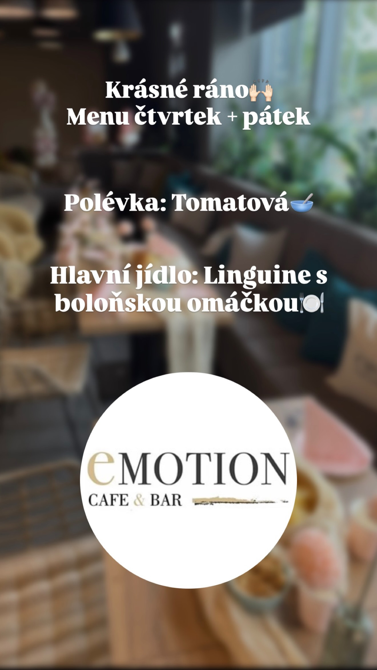 Emotion Fitness Plzeň