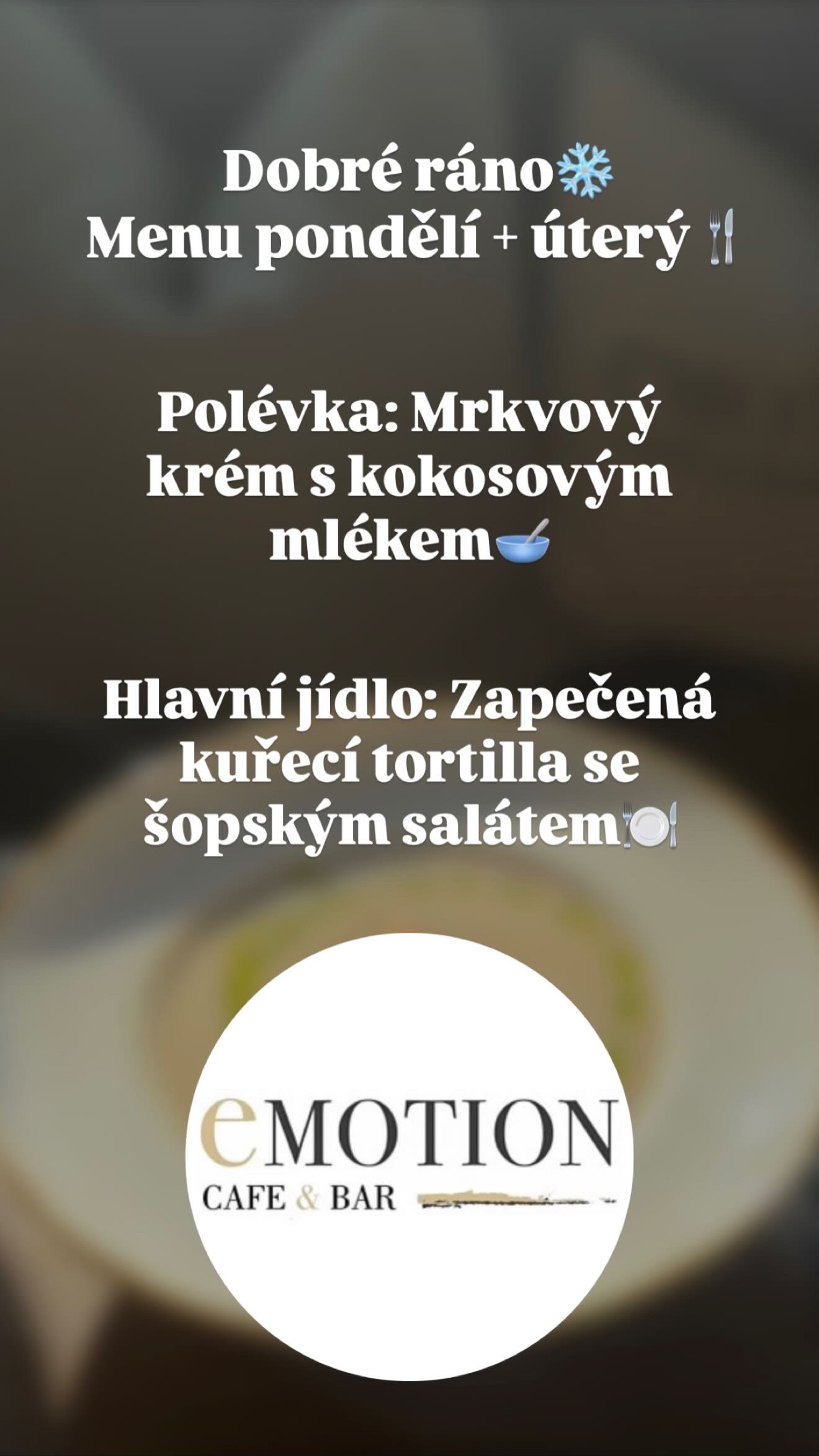 Emotion Fitness Plzeň