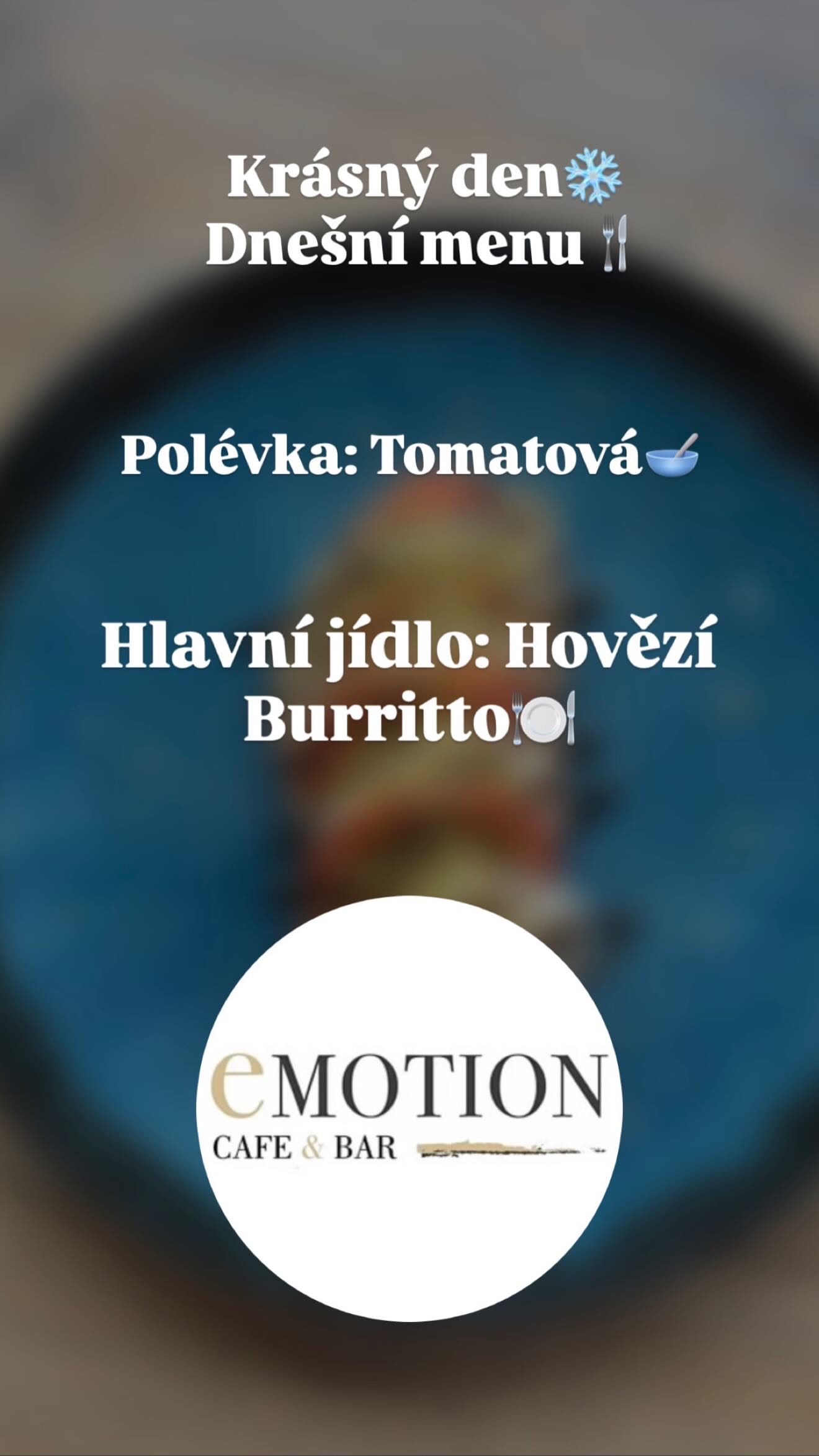 Emotion Fitness Plzeň