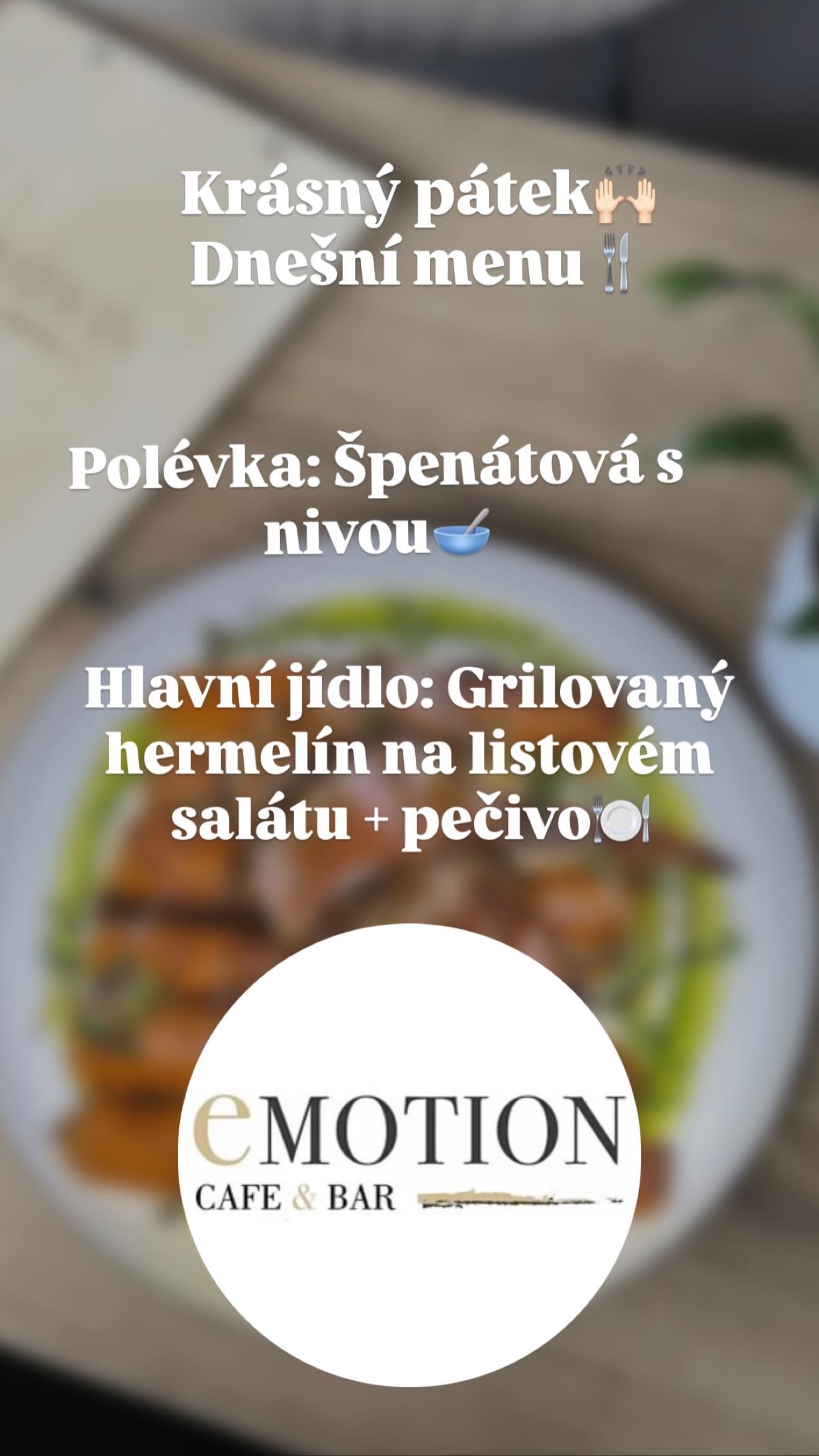 Emotion Fitness Plzeň